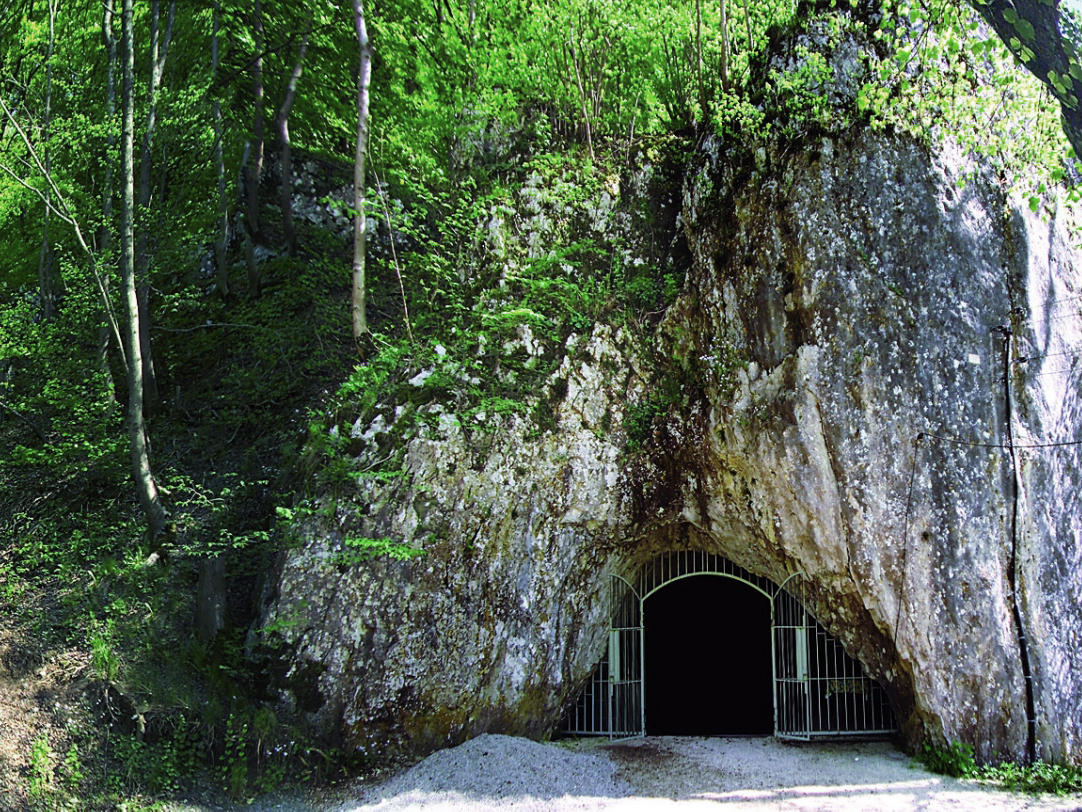 Hohle Fels, Eiszeitkunst (Skulpturen und Musikinstrumente) aus den Höhlen von Achtal und Lonetal – die „Venus vom Hohle Fels“